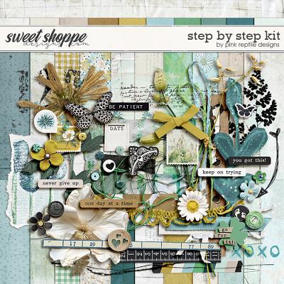 Step By Step Kit by Pink Reptile Designs