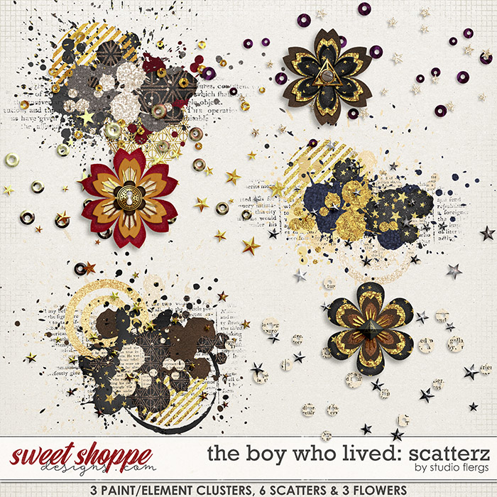 The Boy Who Lived by Studio Flergs & Traci Reed