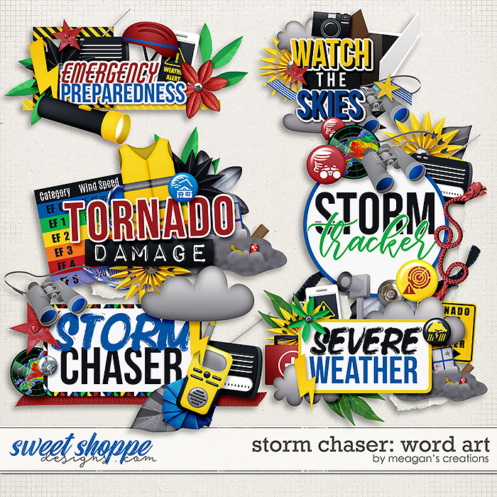 Storm Chaser: Word Art by Meagan's Creations