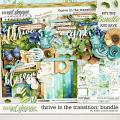 Thrive in the Transition: Bundle by Kristin Cronin-Barrow